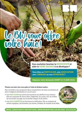 Planter une haie