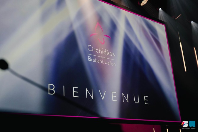 Orchidées 101