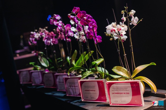 Orchidées 102