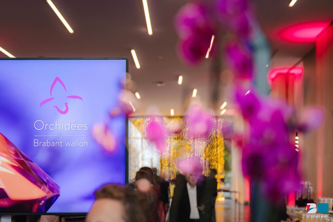 Orchidées 13
