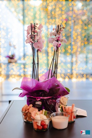 Orchidées 19